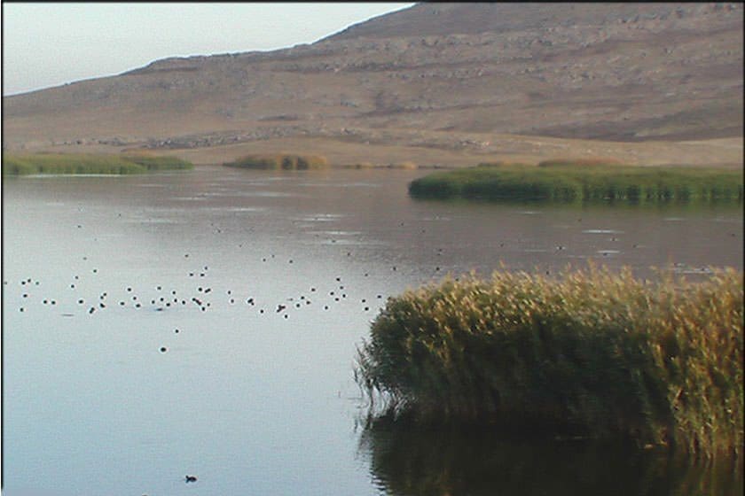 تالاب غوطه‌ور در بی‌آبی - ایسنا