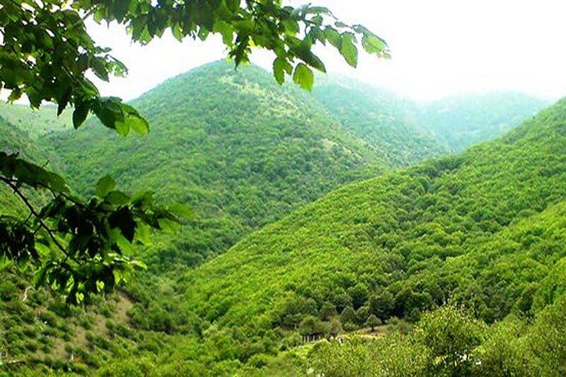 دستگیری ۴۸۹‌ متخلف زیست محیطی در لرستان