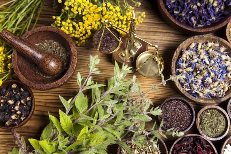 گیاهان دارویی؛ اقتصاد نهفته در لرستان