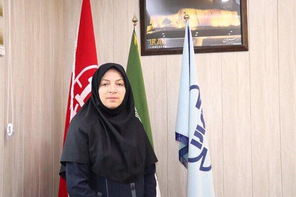 ۲۵ پروانه استاندارد در لرستان صادر شد