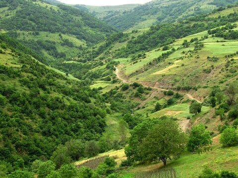 همیاران طبیعت بازوی اصلی در حفظ و توسعه پایدار منابع طبیعی هستند