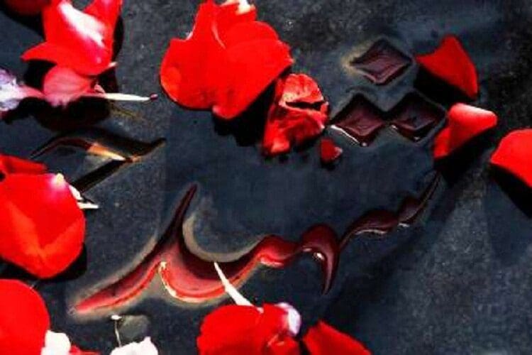 پایان ۳۳ سال انتظار برای رسیدن یک مادر به فرزند شهیدش