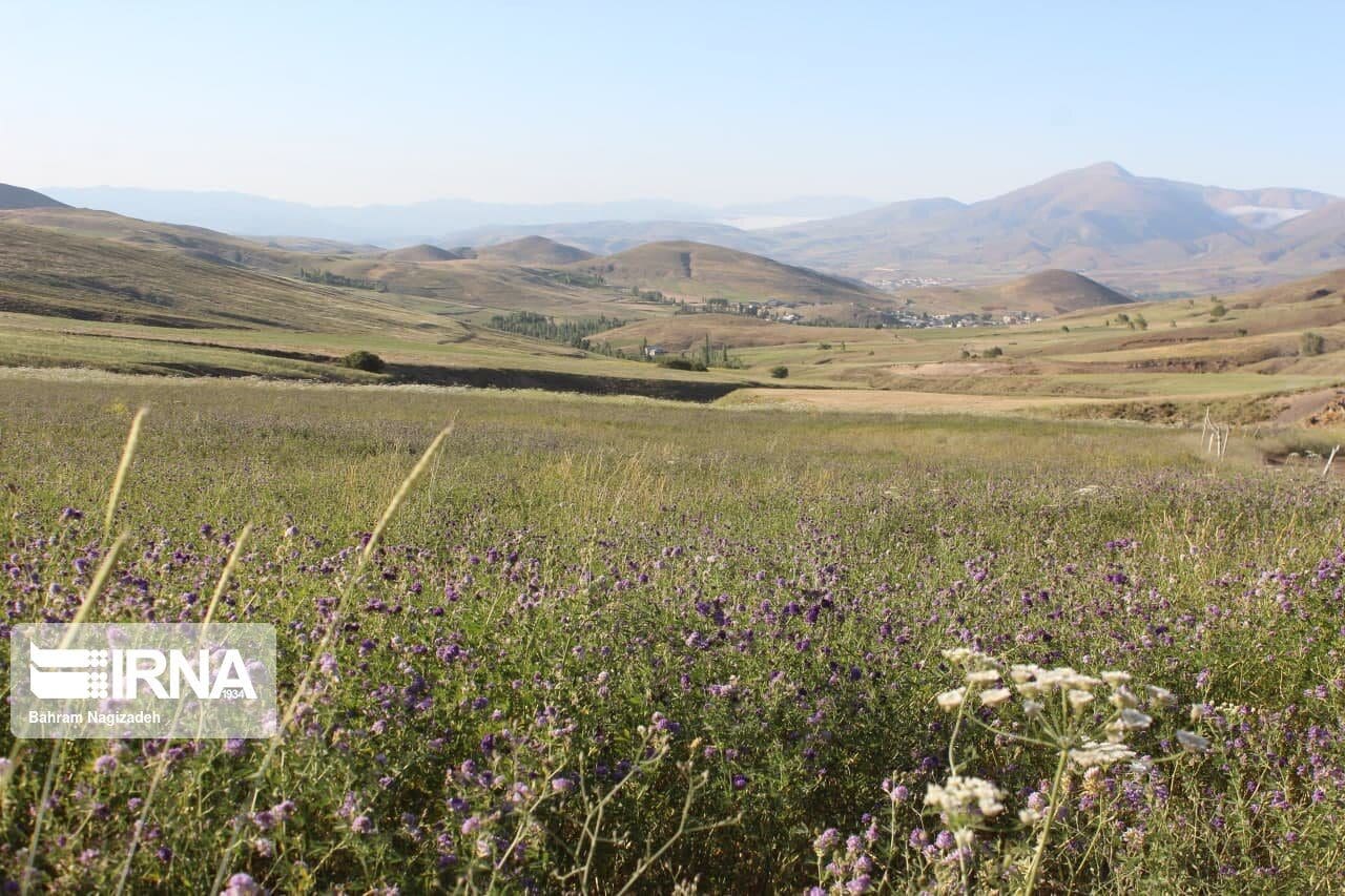 فرسایش خاک در لرستان از متوسط کشوری بیشتر است