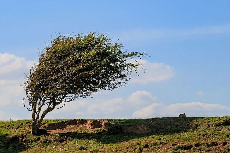 پیش بینی وزش باد شدید در لرستان