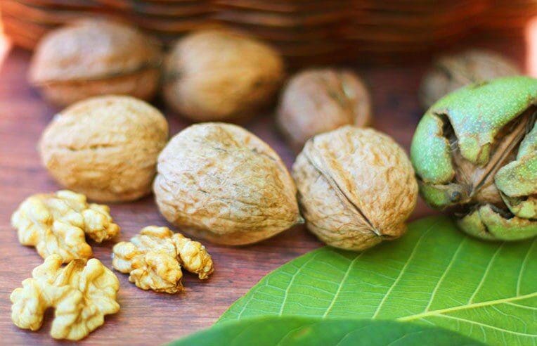 دراسة: الجوز يحمي القلب مع التقدم في العمر