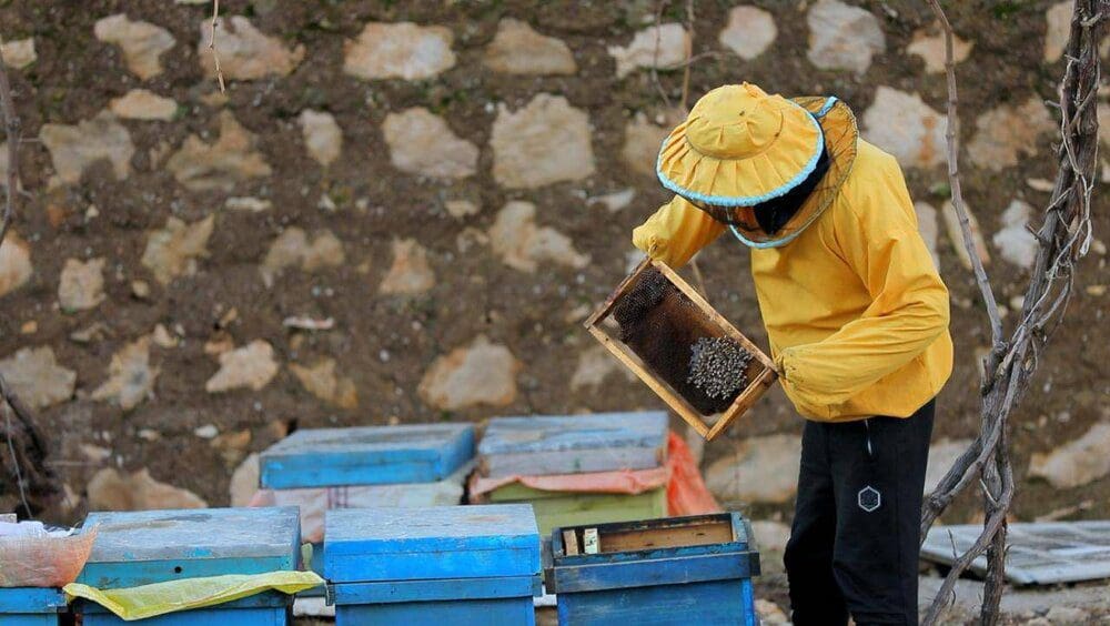 پرداخت حدود ۲۰۰ میلیارد تومان تسهیلات اشتغالزایی