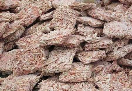 صادرات ۷۸۴ هزار کیلوگرم پای مرغ از لرستان