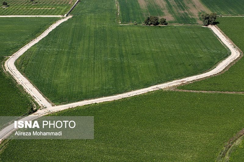 ثبت بیش از ۷۰۰۰ سند اراضی کشاورزی در لرستان