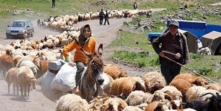 اجرای ۱۰۳ پروژه با اعتبار ۸۰ میلیارد تومان در مناطق عشایری لرستان