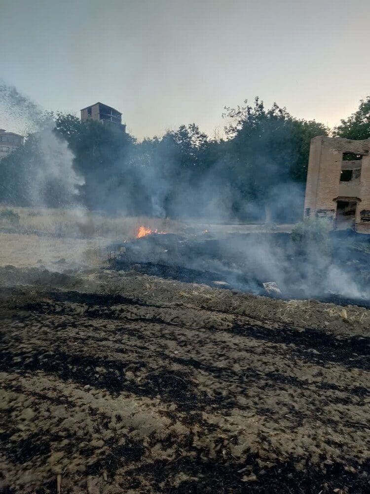 ثبت ۸۰۰ مورد حریق در علف‌های هرز سطح شهر و مزارع کشاورزی بروجرد