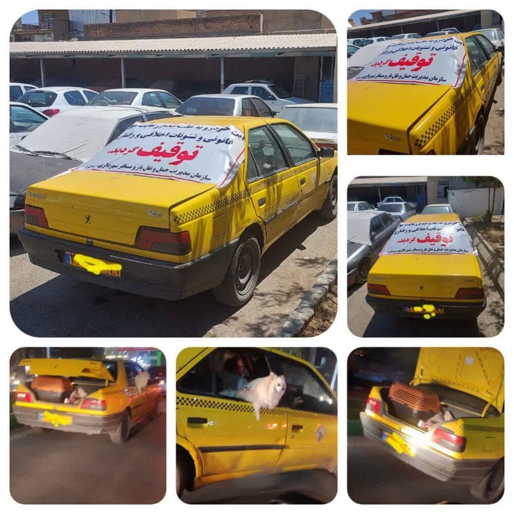 حمل سگ در ناوگان عمومی بروجرد ممنوع است/ شهروندان شکایت کنند