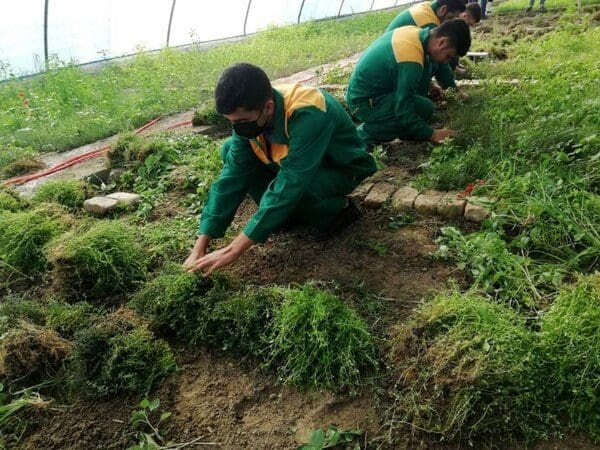 ایجاد اشتغال برای ۲۰۰ نفر از جویندگان کار در بخش کشاورزی بروجرد