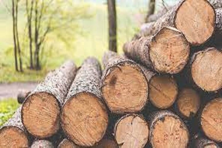 کشف ۱۸ تن چوب قاچاق در بروجرد
