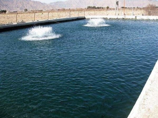 لزوم توجه به استخرهای دومنظوره کشاورزی در آبزی‌پروری