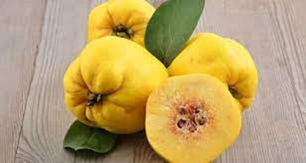 برداشت ۴۰۰ تُن میوه "به" در بروجرد