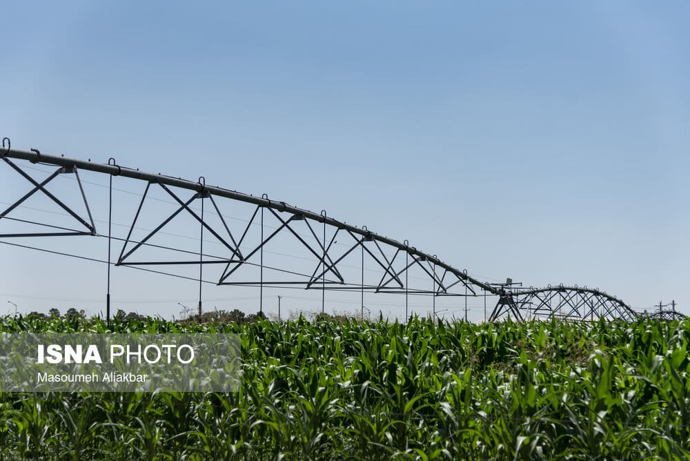 نباید هیچ‌گونه ساخت‌وسازی در زمین‌های کشاورزی انجام شود