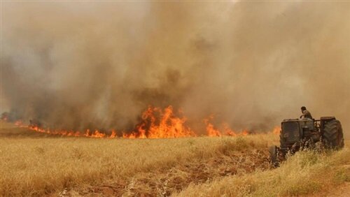 آتش‌ زدن مزارع، تهدیدی جدی برای شبکه برق است
