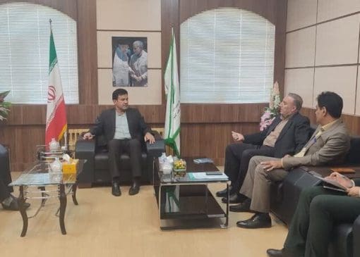 تامین ۲۰ درصد برق دستگاه‌های اجرایی با پنل خورشیدی و انرژی تجدیدپذیر