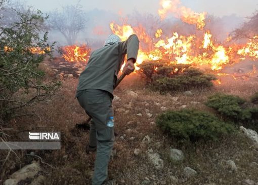 ۶۱۷ هزار هکتار جنگل‌ و مرتع لرستان نقاط بحرانی آتش‌سوزی است