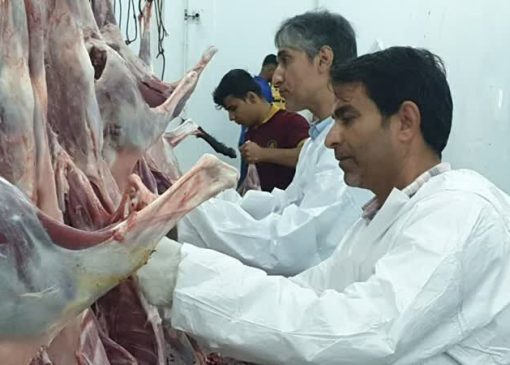 نظارت ۳۵ گروه ناظر شرعی و بهداشتی بر ذبح دام‌های قربانی در لرستان