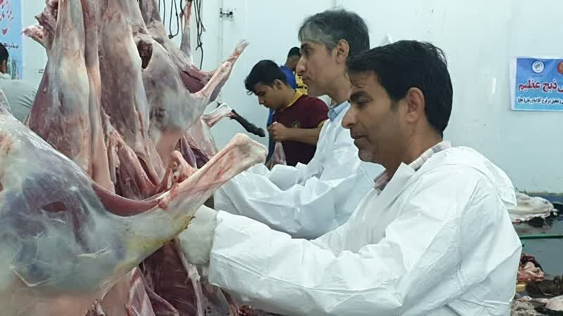 نظارت ۳۵ گروه ناظر شرعی و بهداشتی بر ذبح دامهای قربانی در لرستان