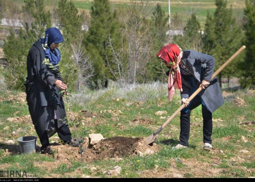 معاون استاندار: بام خرم‌آباد نمونه‌ای موفق از توسعه فضای سبز شهری است