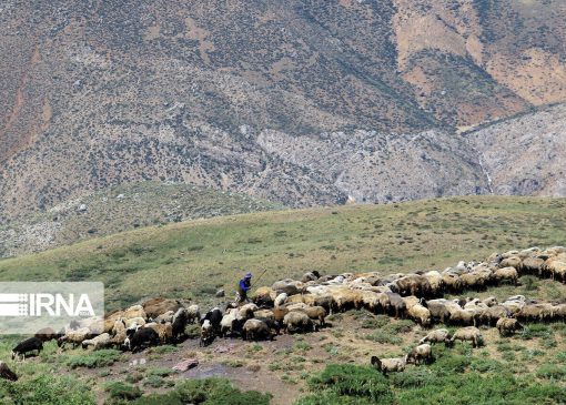 فرآیند ممیزی مراتع لرستان به اتمام رسید