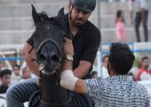 روایتی از تاریخچه اسب کُرد و جنایتی در دل فیلم‌برداری