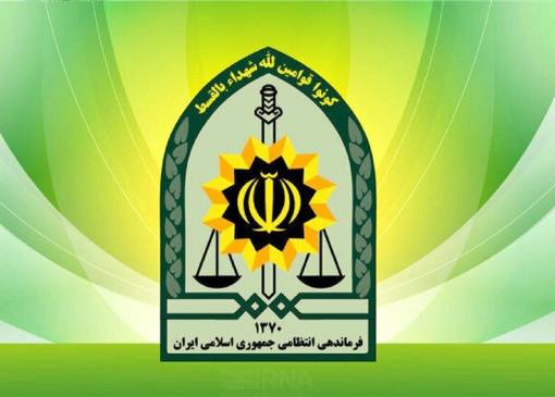 توضیح پلیس درباره بازداشت یکی از بازیگران معروف