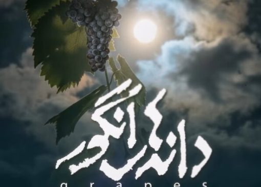 مهرداد صدیقیان و گلاره عباسی همبازی شدند