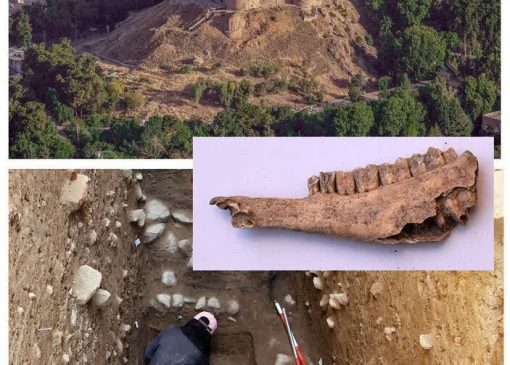 تقویت پرونده ثبت جهانی با یافته‌های پیش‌ از تاریخ در قلعه فلک‌الافلاک