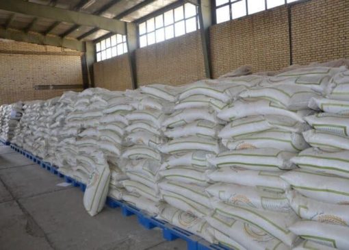 کشف انبار احتکار ۱۵ تن برنج در دورود